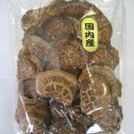 shiitake-01